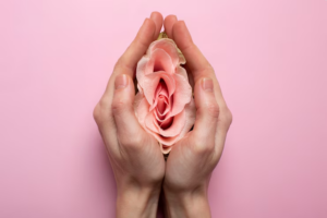 o que é vagina