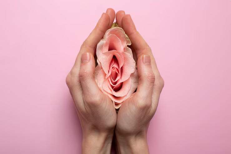 o que é vagina