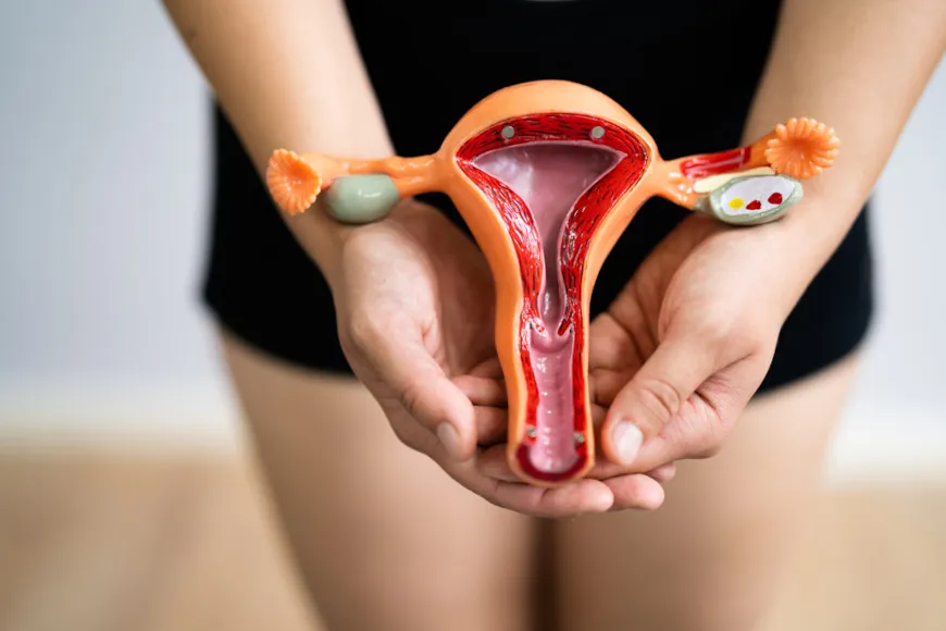 canal vaginal: porque não pode lavar a parte interna da vagina com a ducha vaginal